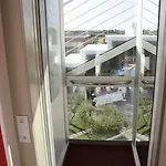 Rainbow Марсала